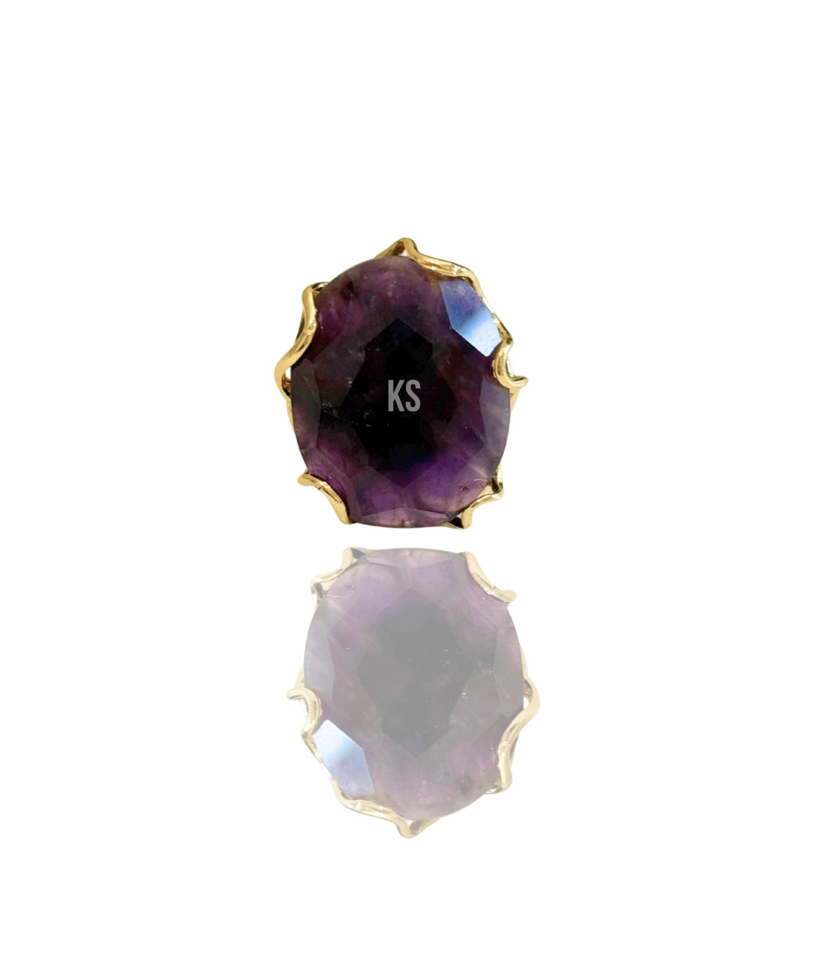 ANILLO ISLA MARINA